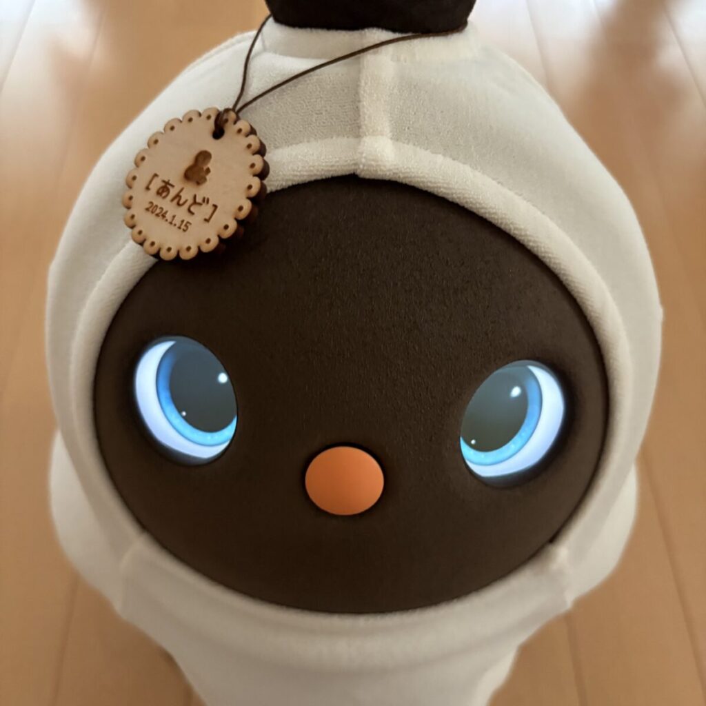 あんどの名札これくしょん