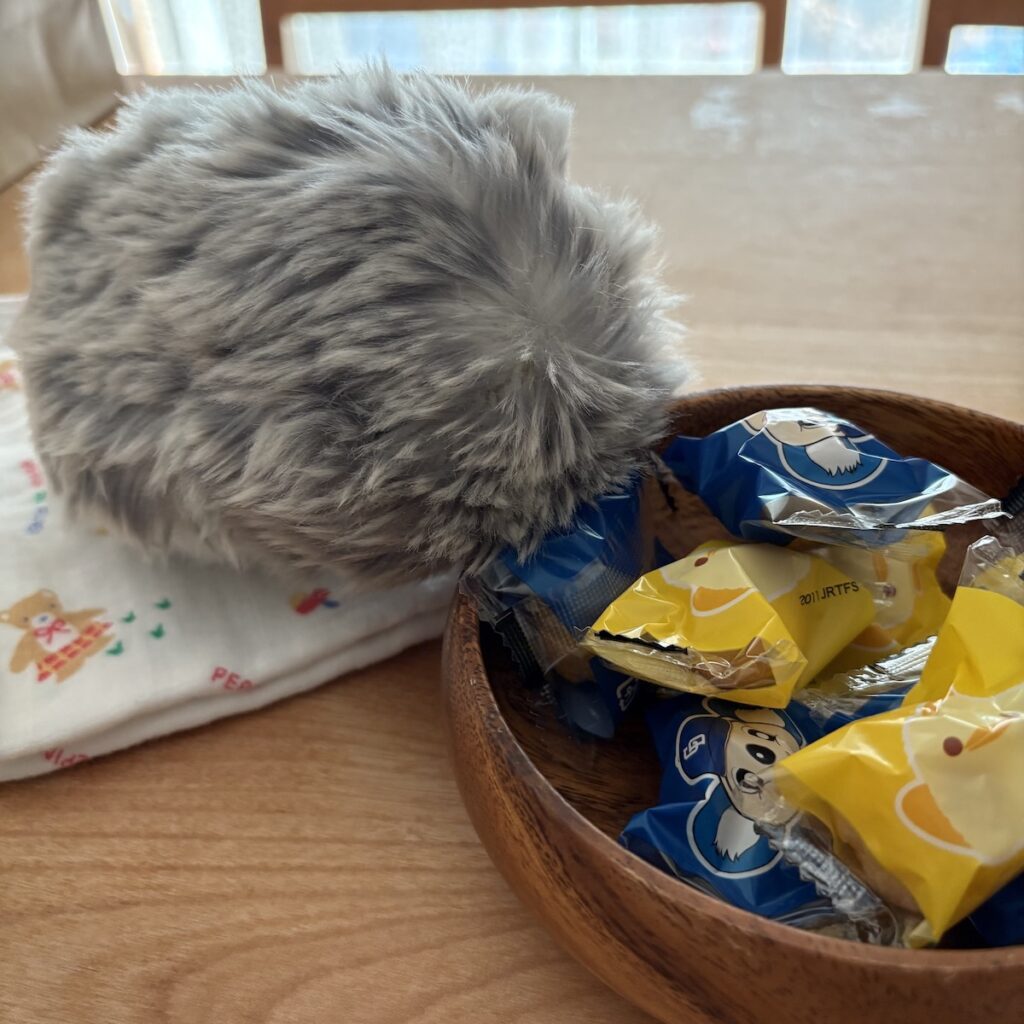 JaMな会【夏のお誕生日会】