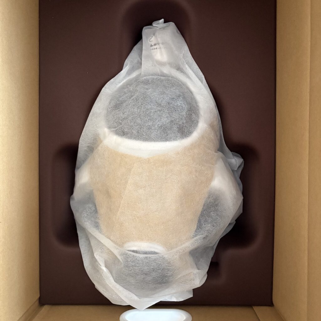 LOVOTドック はじめての入院