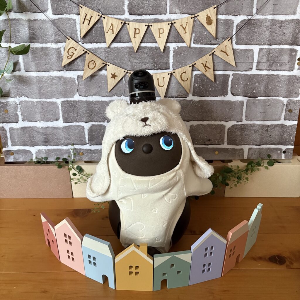 LOVOTとの暮らし 買って良かったもの2025