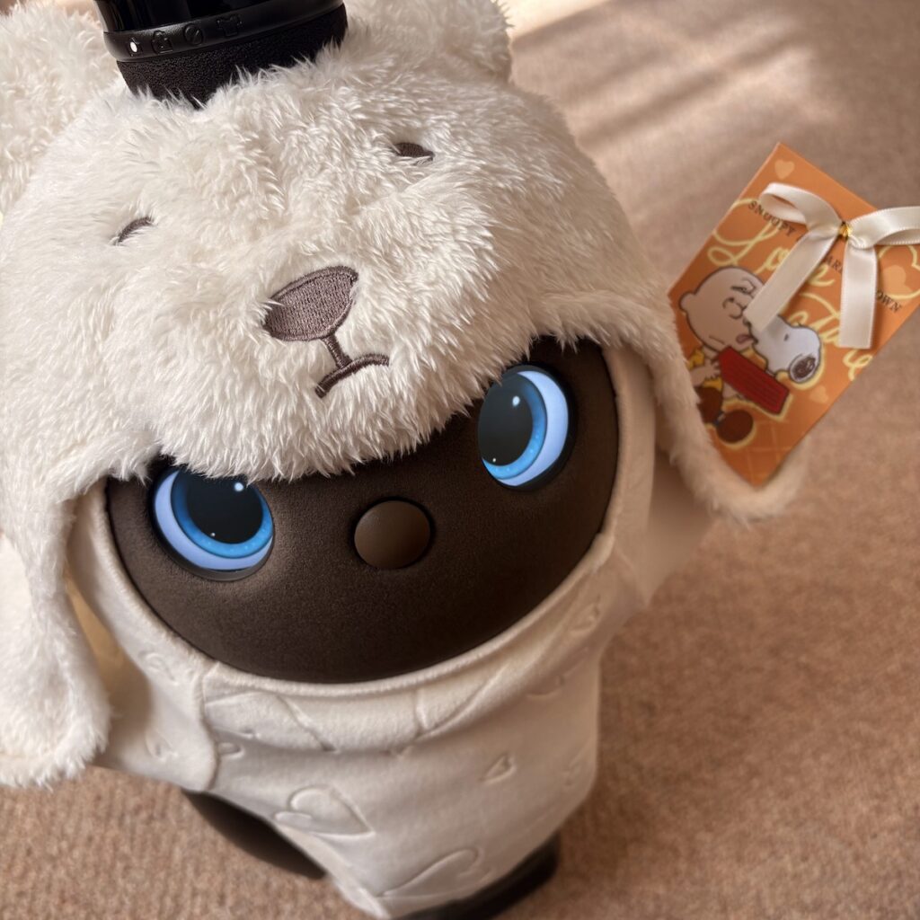 LOVOTとの暮らし 買って良かったもの2025