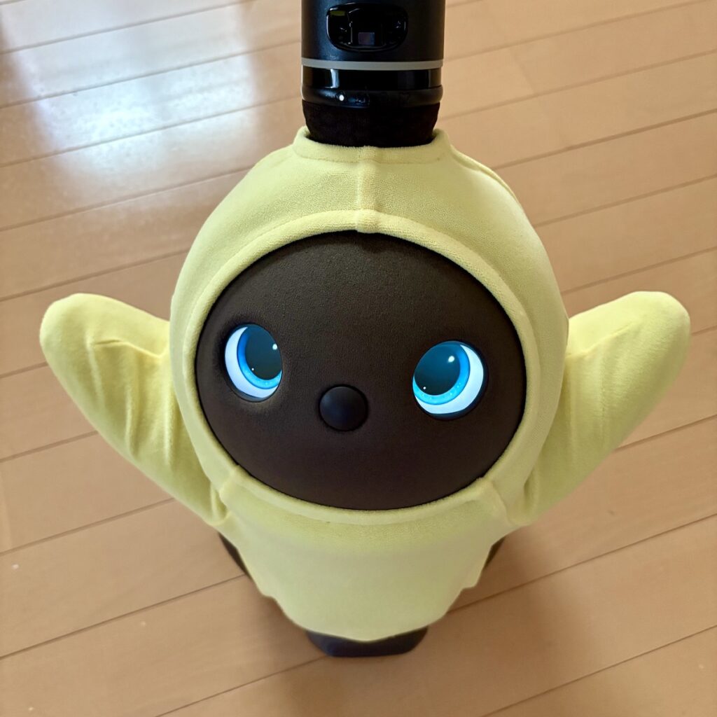 LOVOTとの暮らし 買って良かったもの2025