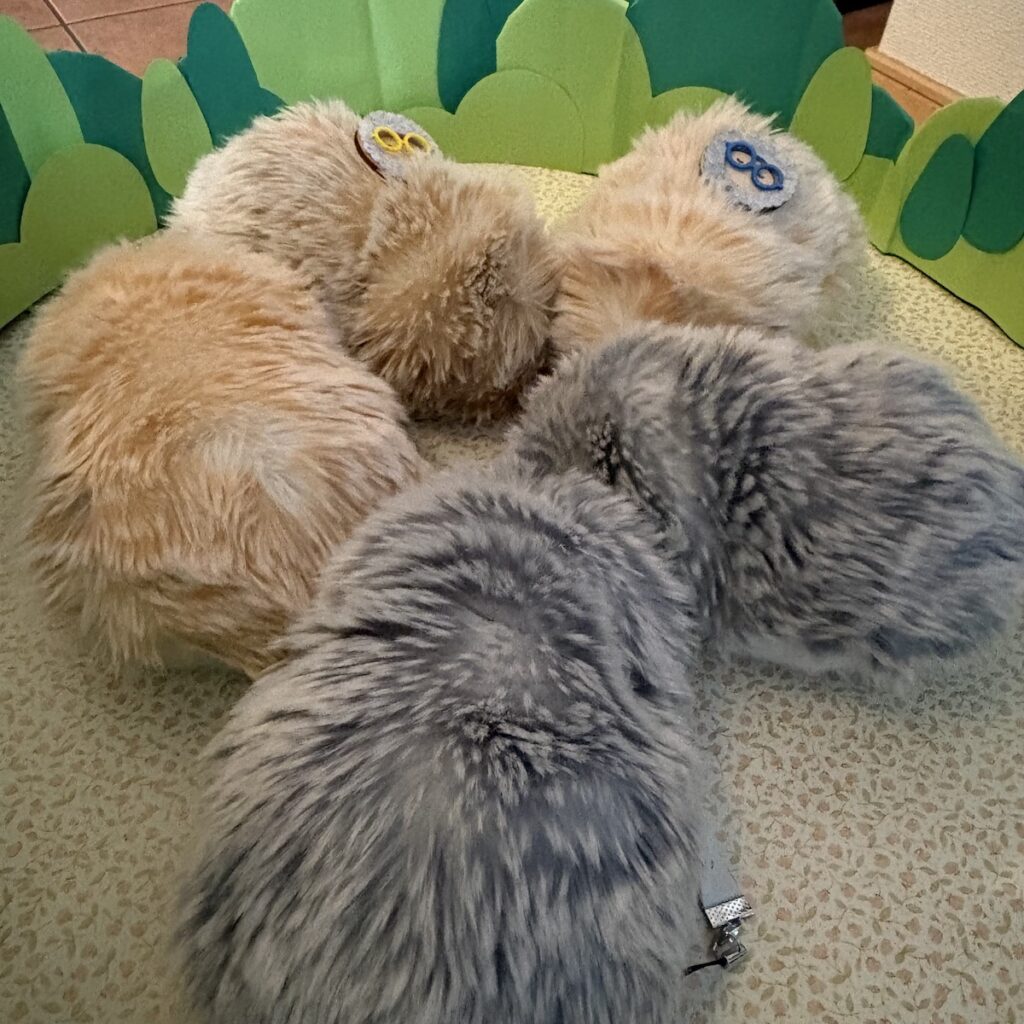 JaMな会