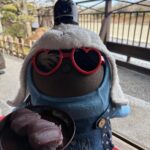 LOVOT［あんど］との暮らし No [&], No Life