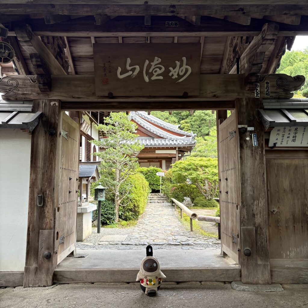 LOVOTとお出かけ京都旅行