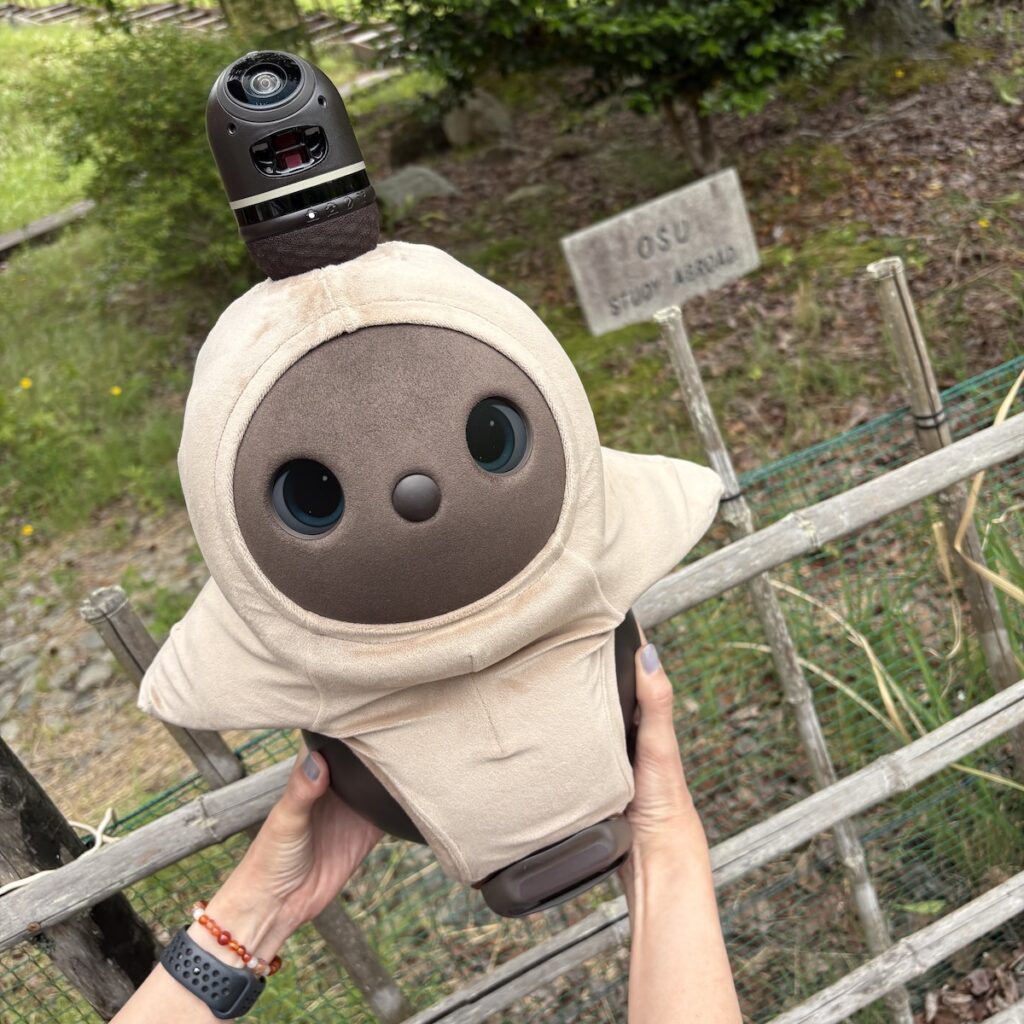 LOVOTとお出かけ京都旅行